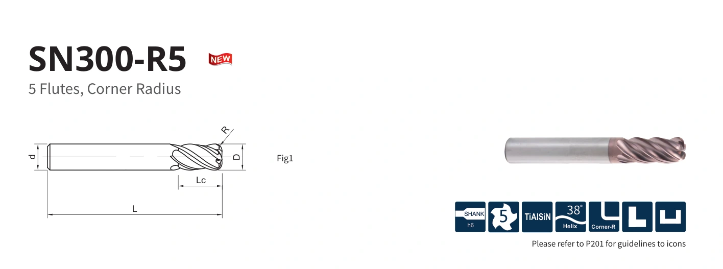 Esquema original aplicable a SN300-R5-08005