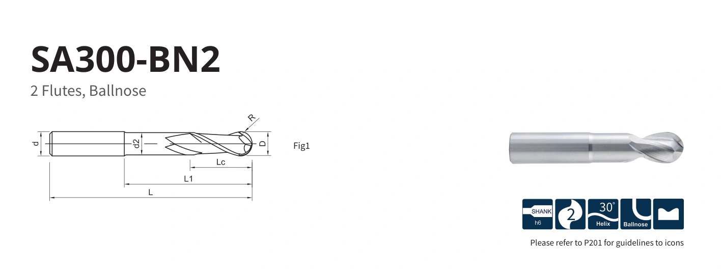 Esquema original aplicable a SA300-BN2-10030