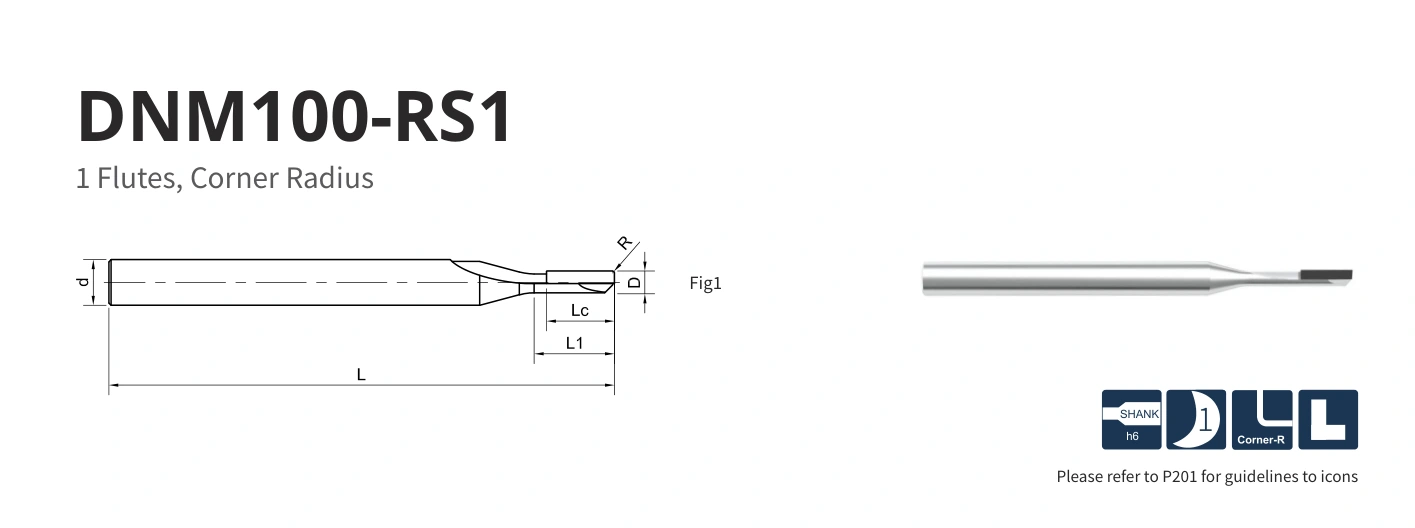 Esquema original aplicable a DNM100-RS1-03002