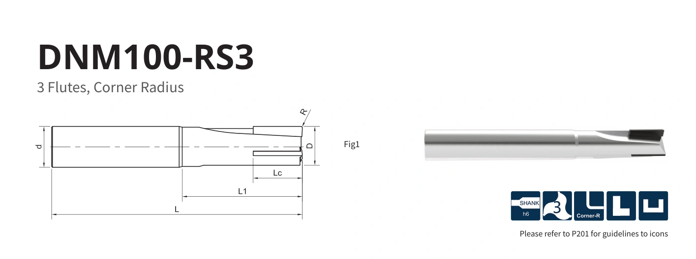 Esquema original aplicable a DNM100-RS3-16020