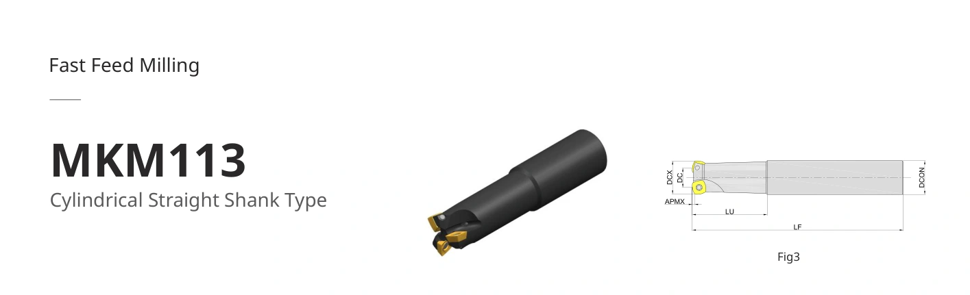 Esquema original aplicable a MKM113-032R04P32-SD09