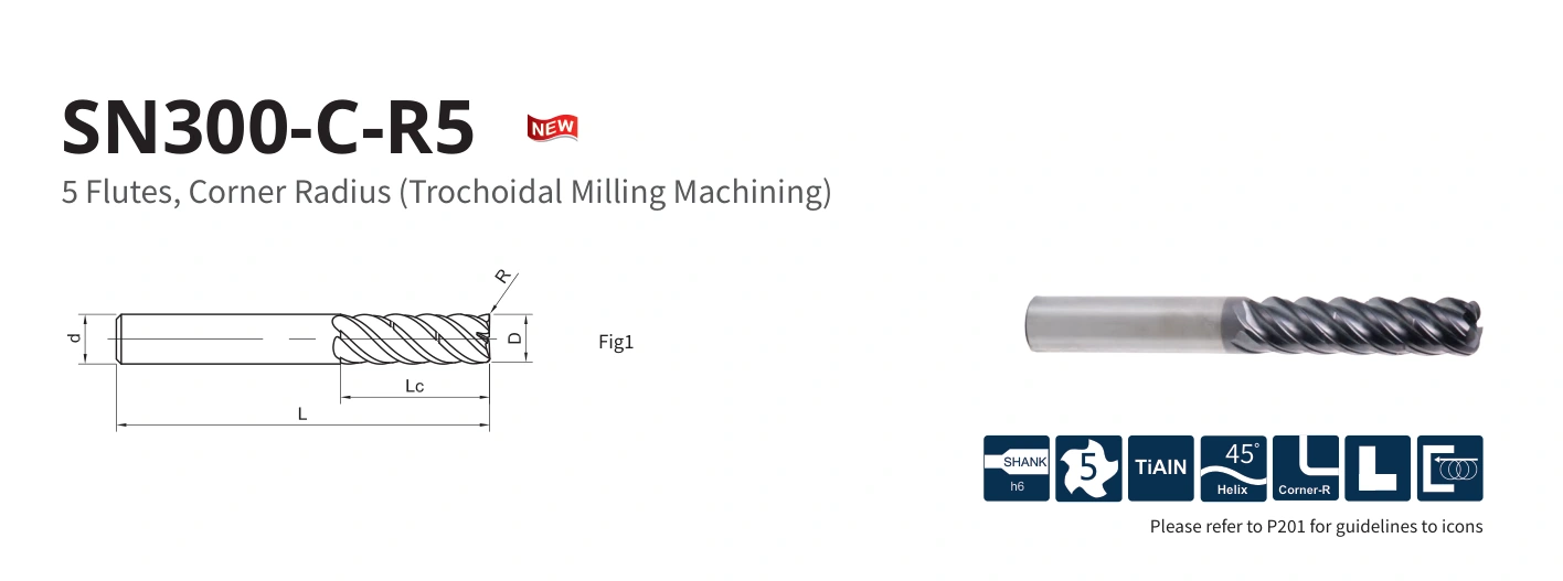 Esquema original aplicable a SN300-C-R5-08010