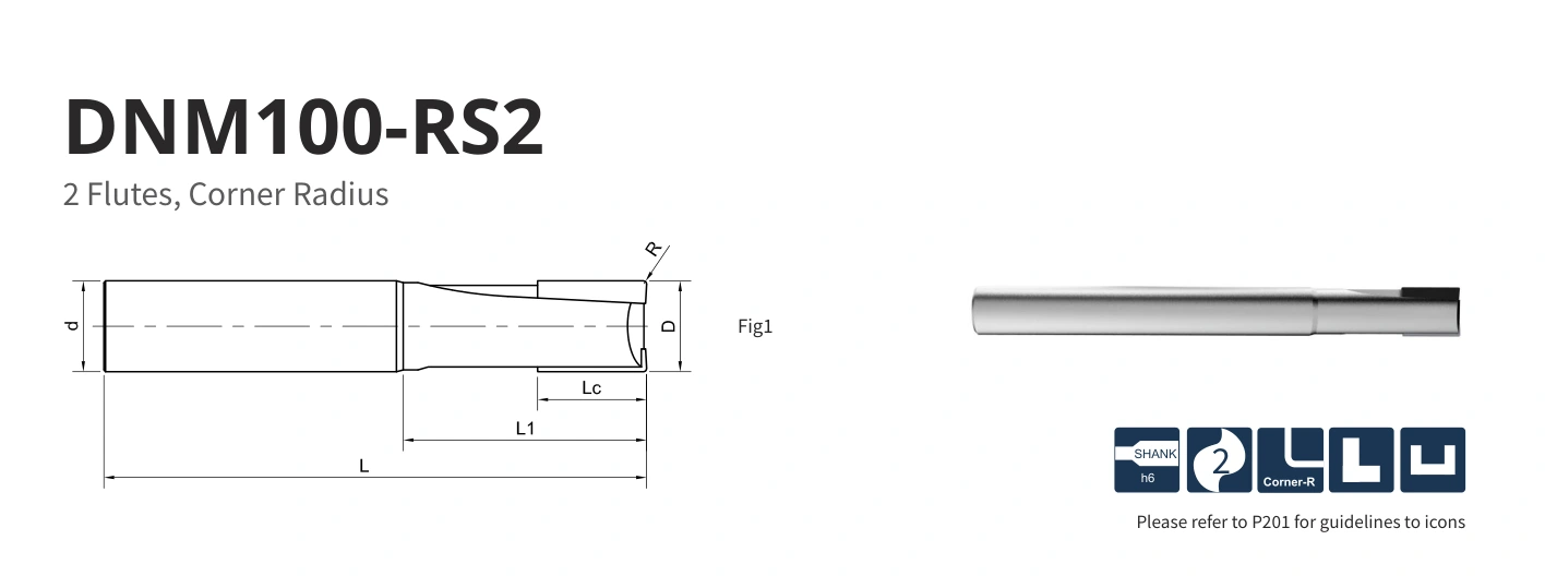 Esquema original aplicable a DNM100-RS2-06005