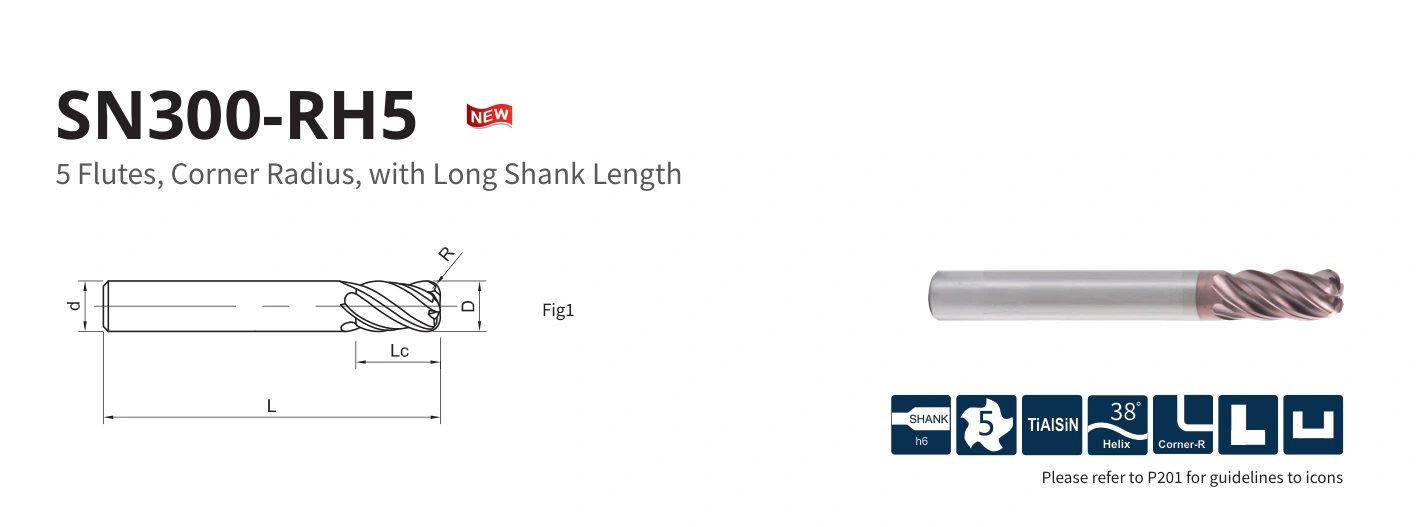 Esquema original aplicable a SN300-RH5-06015