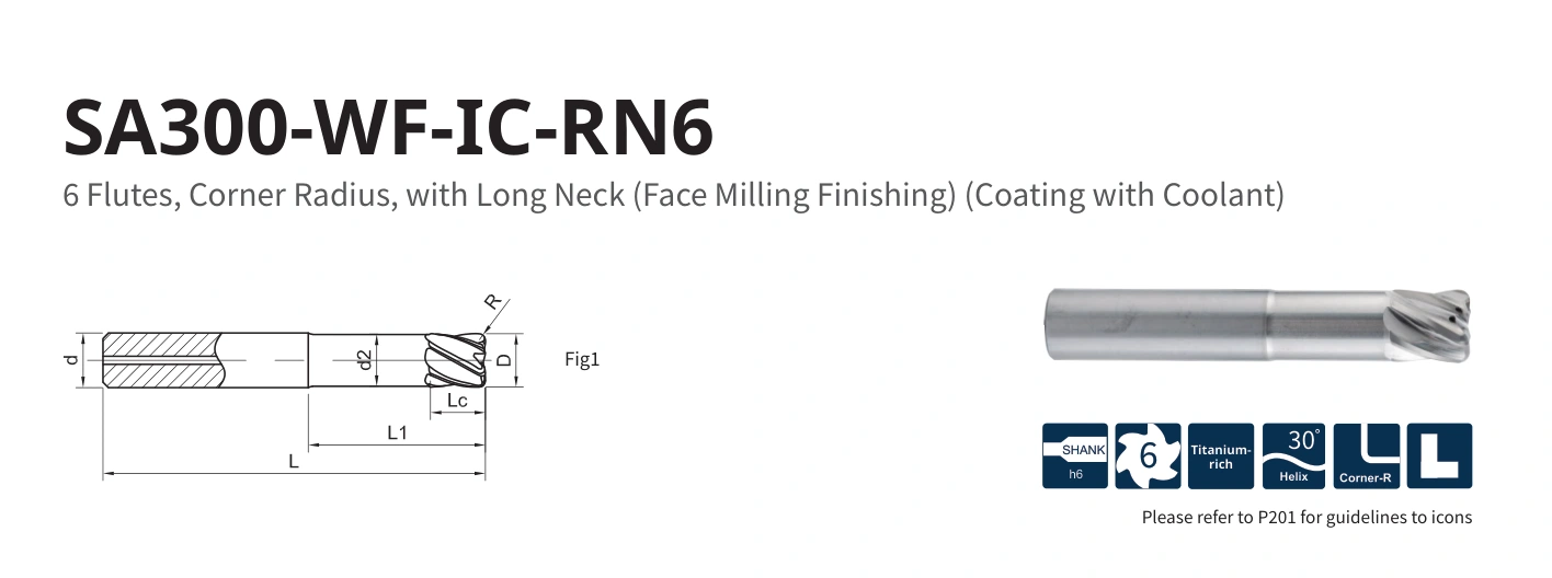 Original diagram applicable to SA300-WF-IC-RN6-16030A
